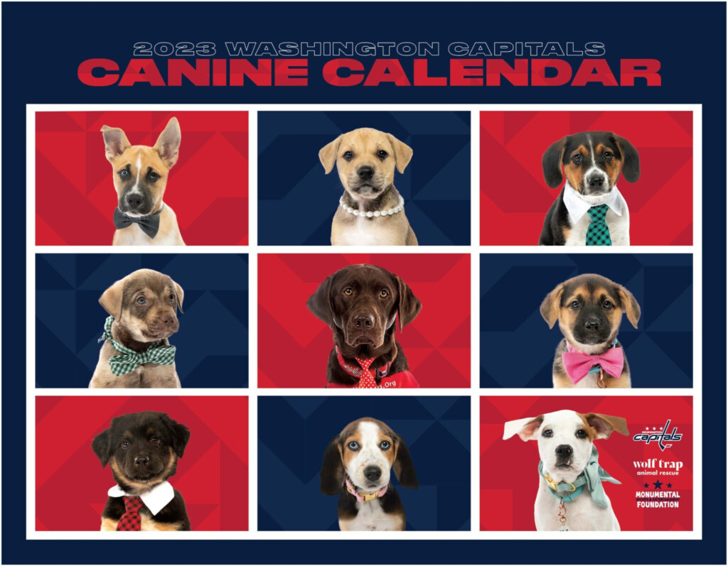 2023 Caps Canine Calendar Now Available 