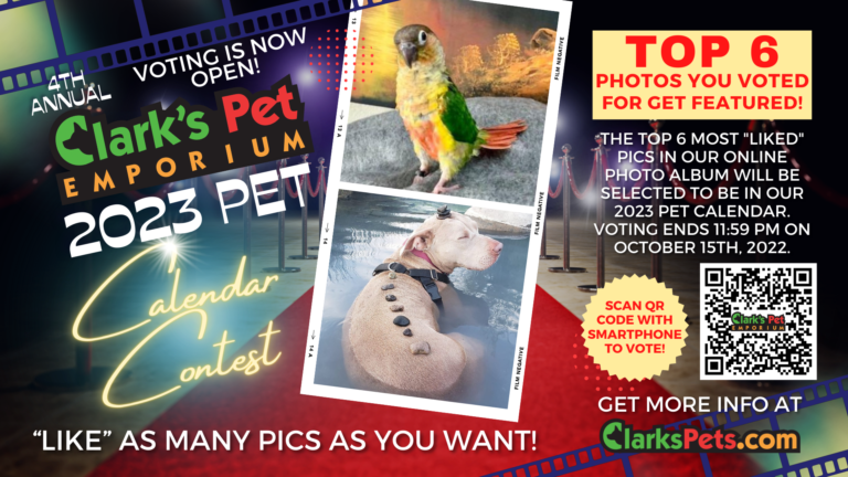 2023 Clark 39 s Pet Calendar Contest Enter Your Pets Photo Now 