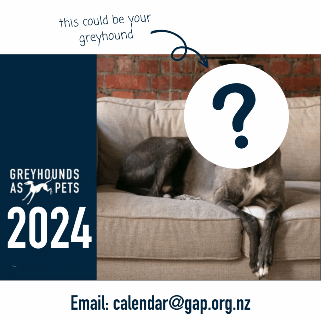 2024 Calendar Submissions CLOSED Greyhounds As Pets