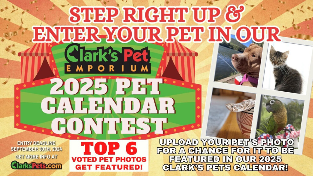 2024 Clark 39 s Pet Calendar Contest Enter Your Pet 39 s Photo Now 