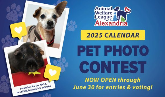 2025 Calendar Pet Photo Contest Alexandria Animals