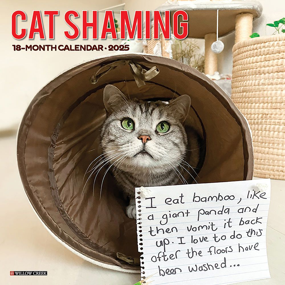 2025 Stunning Pets Calendar Irene Hunt