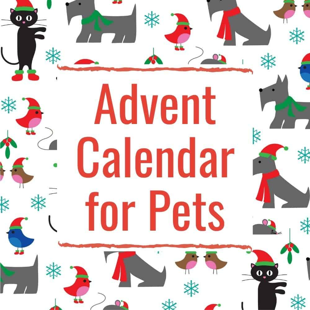 Advent Calendar Ideas For 2024 Kids Adults Pets Parties Made Personal