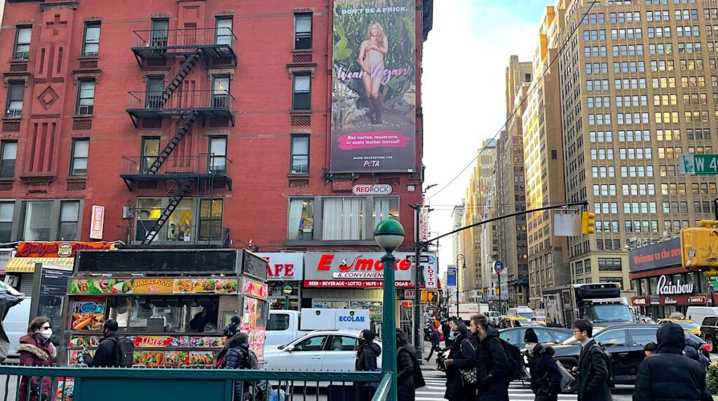 Alicia Silverstone 39 s PETA Ad Shows The Actress Getting Naked To Protest 