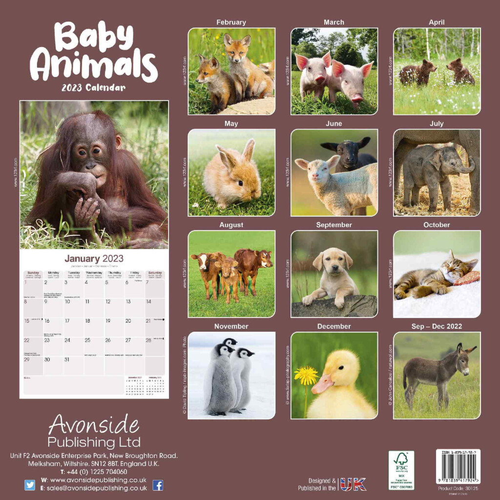 Baby Animals Calendar Animal Calendars Pet Prints Inc