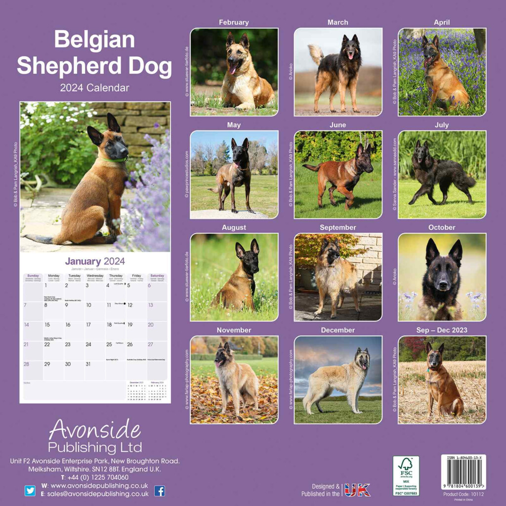 Belgian Shepherd Dog Calendar Dog Breed Calendars Pet Prints Inc