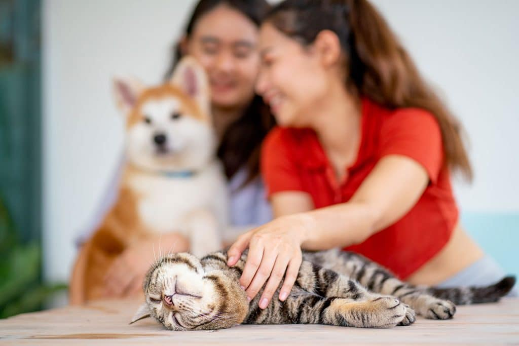 Bend pet express celebrates 30 years Bend Magazine