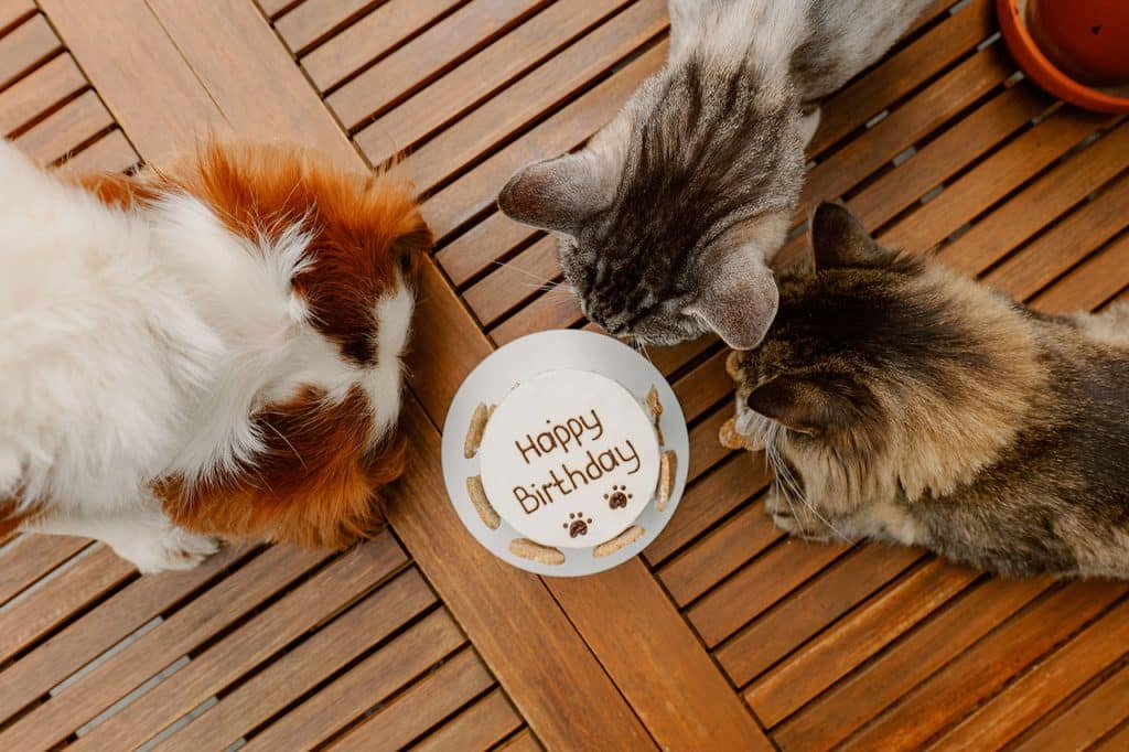 Bend pet express happy birthday Bend Magazine