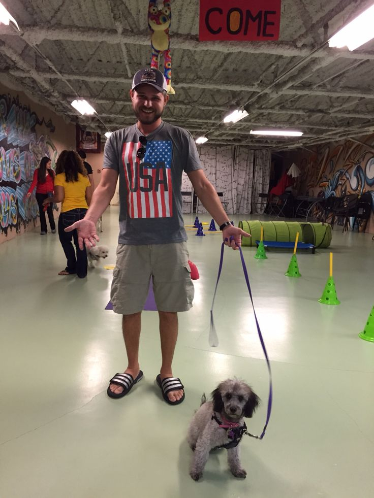 Brittany Loves Training At Barkers Pet Center Training Classes Dog 