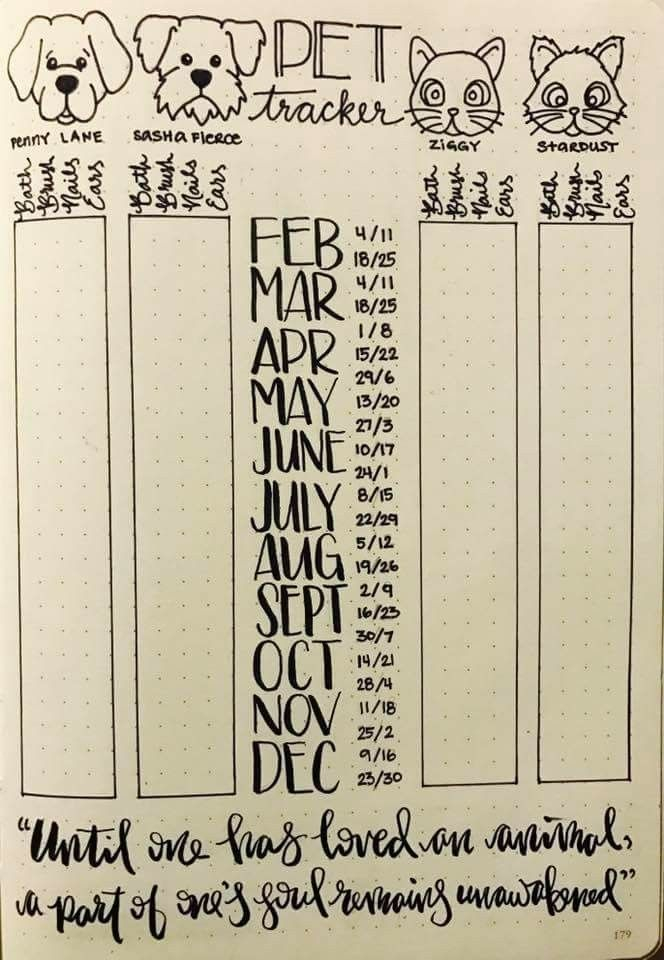 Bullet Journal Pet Care Tracker Printable Jimmy S Powell