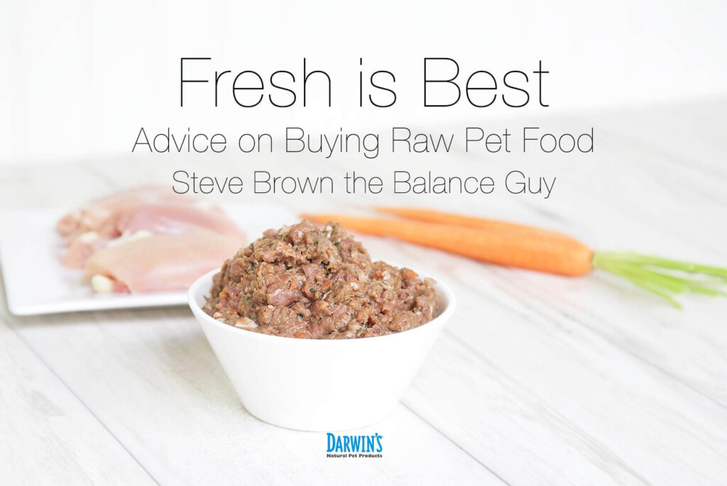 Buying Raw Pet Food Darwin 39 s Natural Pet Products Darwin 39 s Pet Food
