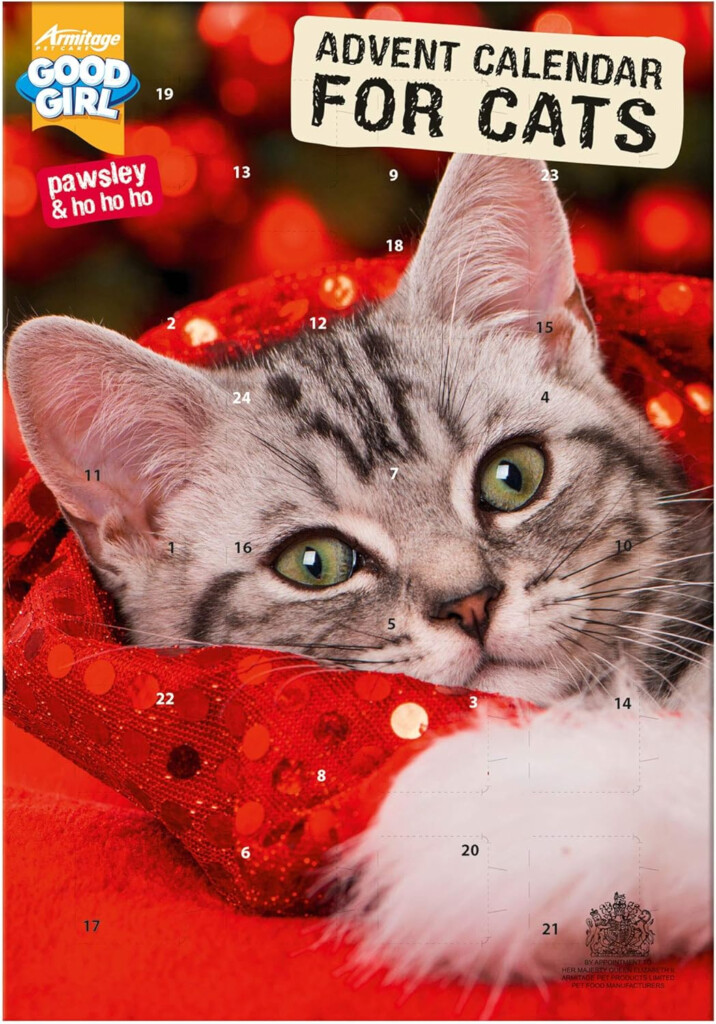 Cat Treat Advent Calendar 2025 Brian Scott