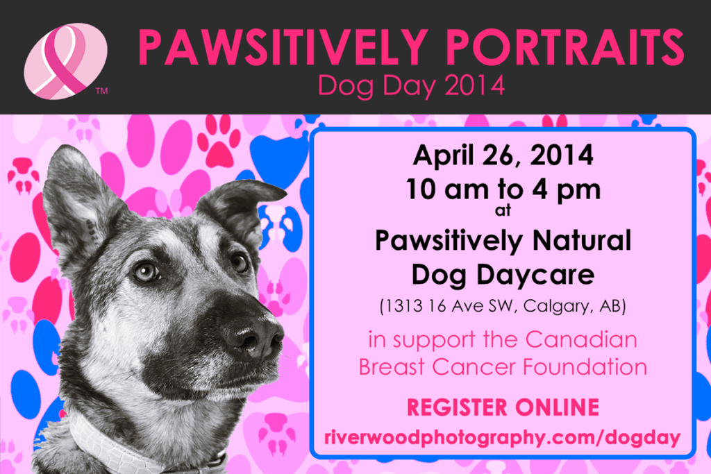 Charity Pet Photography Event Dog Day 2014 Riverwood Photography