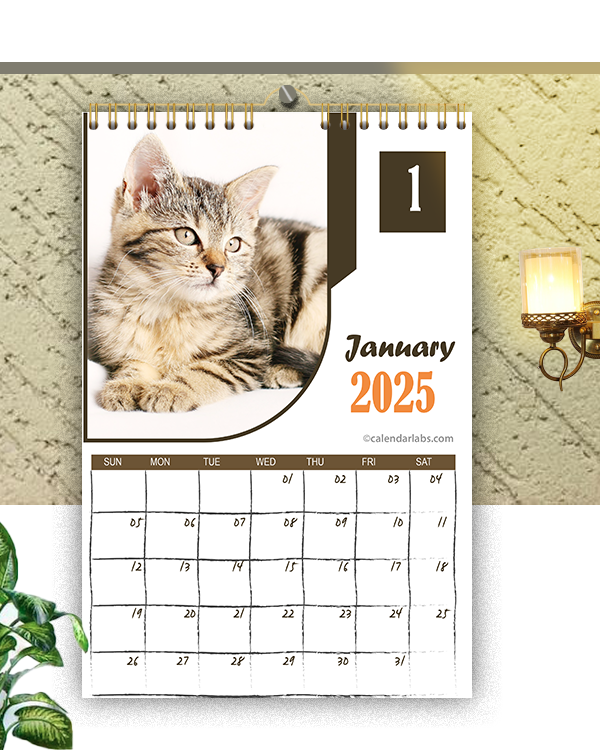 Cheap Wall Calendars 2025 For Sale Innovative Outstanding Superior 