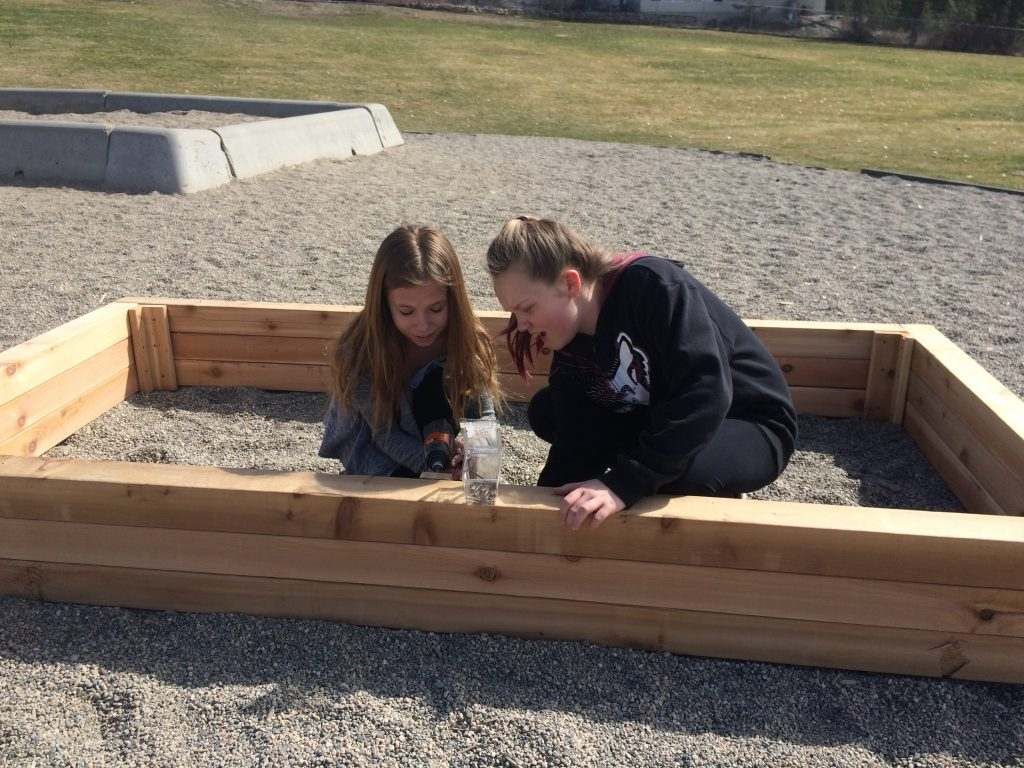  cole Peter Greer Elementary Outdoor Garden Our Learning Journey