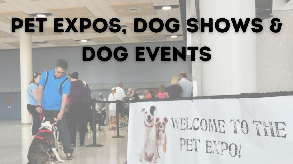 Columbus Oh Pet Expo 2025 Delores Rumbaugh