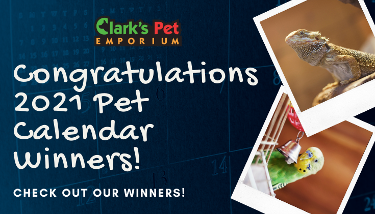 Congrats To Our 2021 Pet Calendar Contest Winners