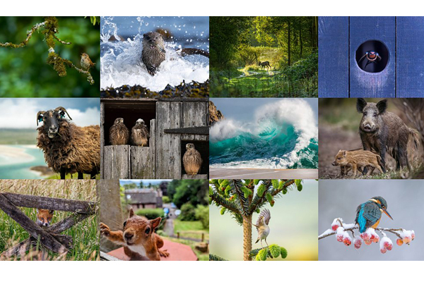 Countryfile Calendar Competition 2024 View The Winning And Shortlisted 