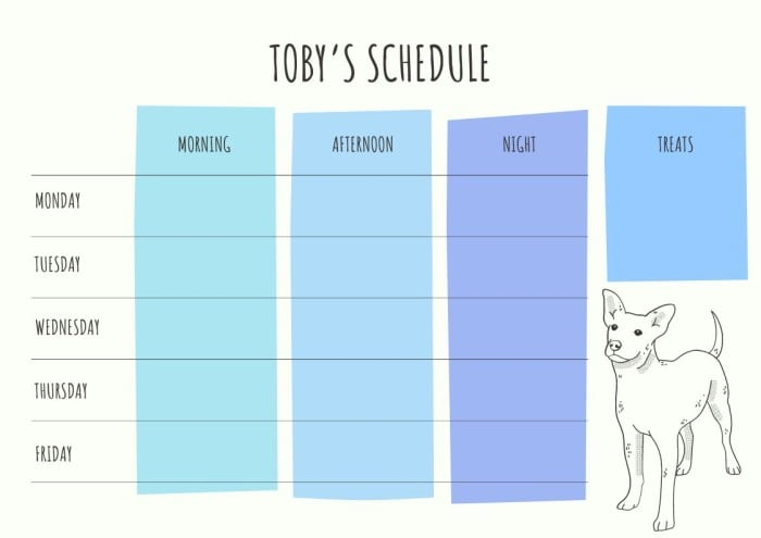 Customize This Simple Linear Dog Feeding And Treats Weekly Schedule 