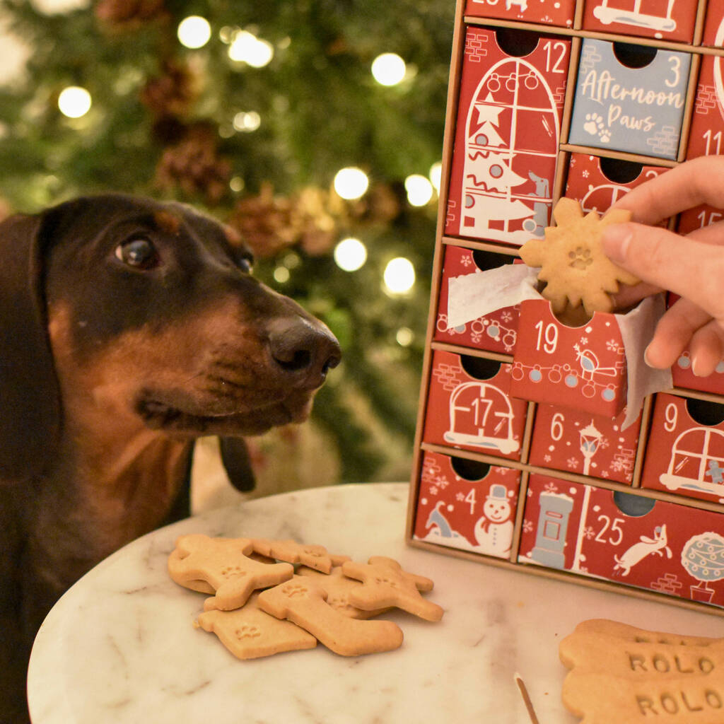 Dog Advent Calendar 2024 Ukraine Lonee Dorolice
