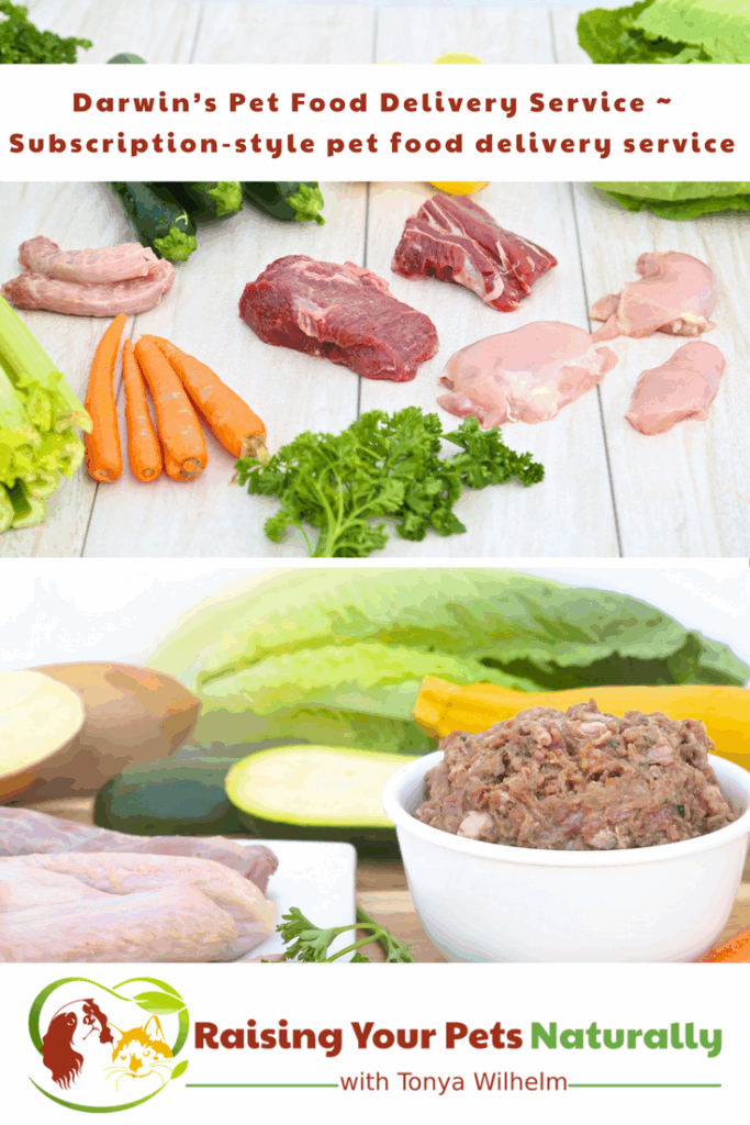Dog And Cat Natural Raw Food Delivery Services Subscription Style Pet 