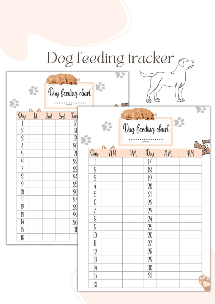 Dog Feeding Schedule Optimize Your Pup 39 s Health Pet