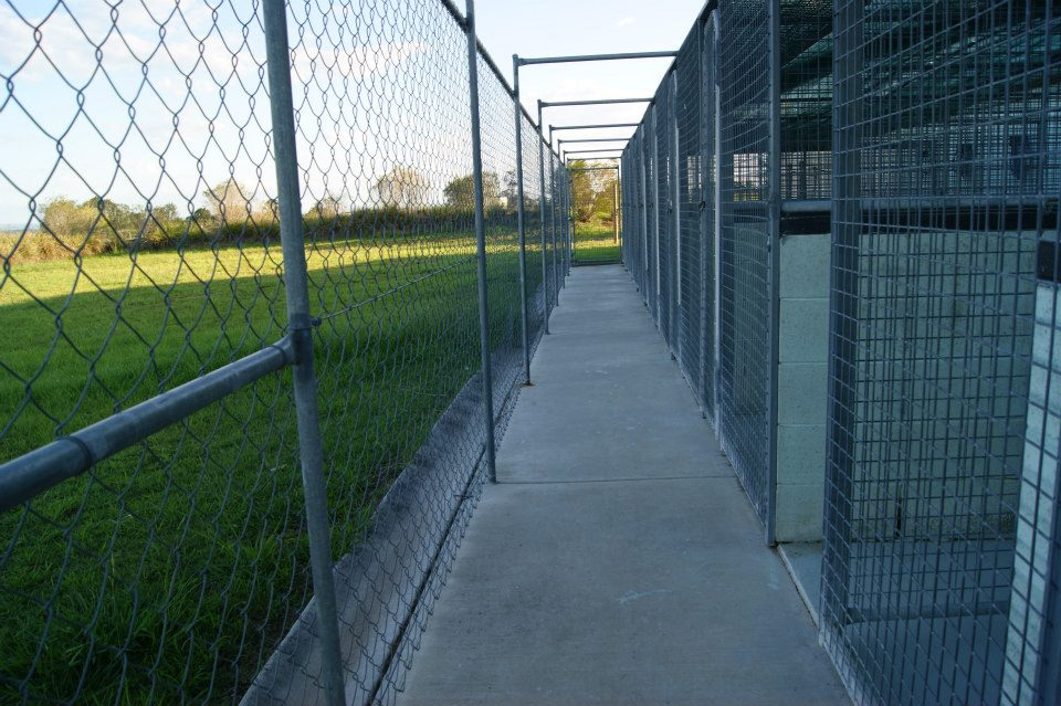 Dogs Cats Grand Haven Pet Resort Boarding Brisbane Region