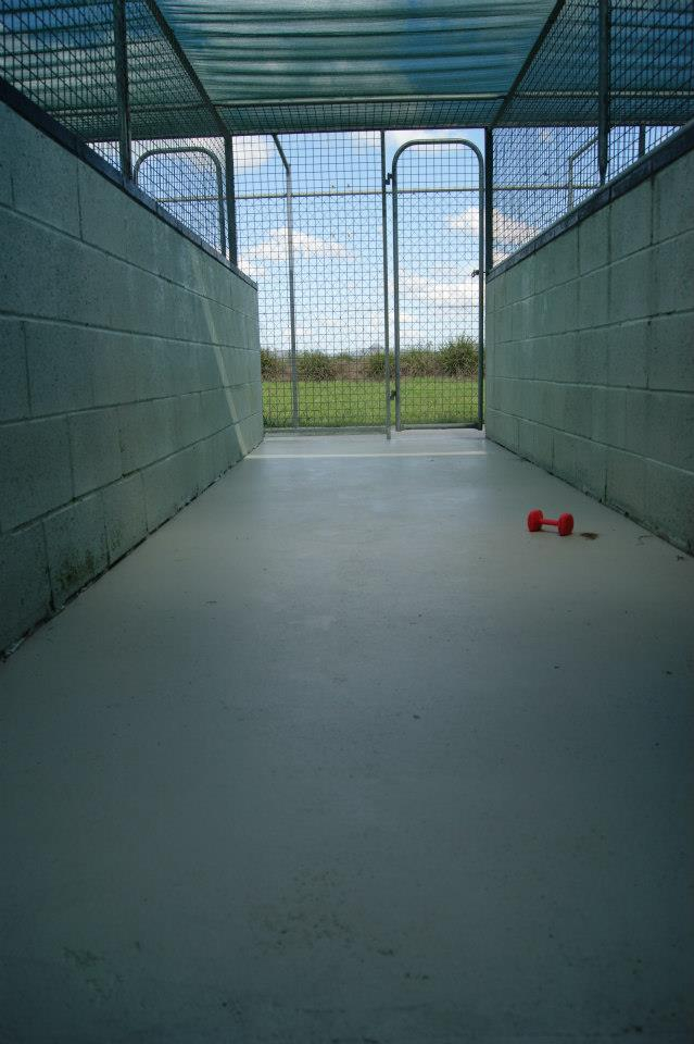 Dogs Cats Grand Haven Pet Resort Boarding Brisbane Region