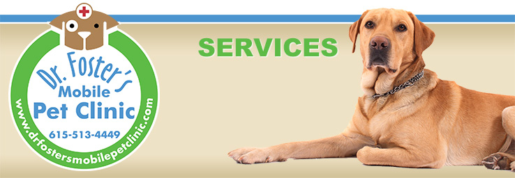 Dr Foster 39 s Mobile Pet Clinic Franklin Tennessee Veterinarian