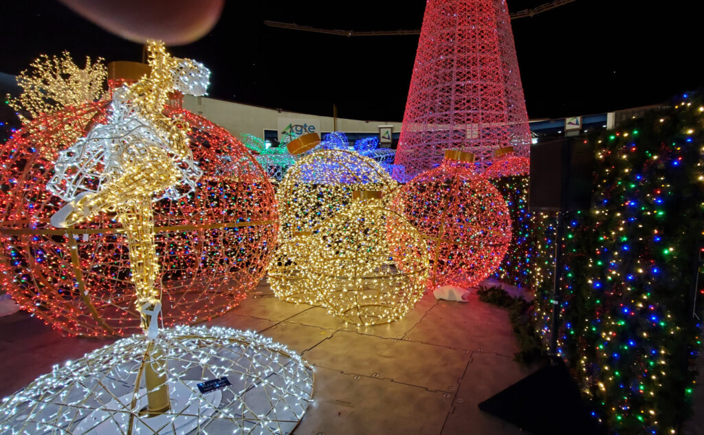 Enchant Christmas 2024 St Pete Elly Danyelle