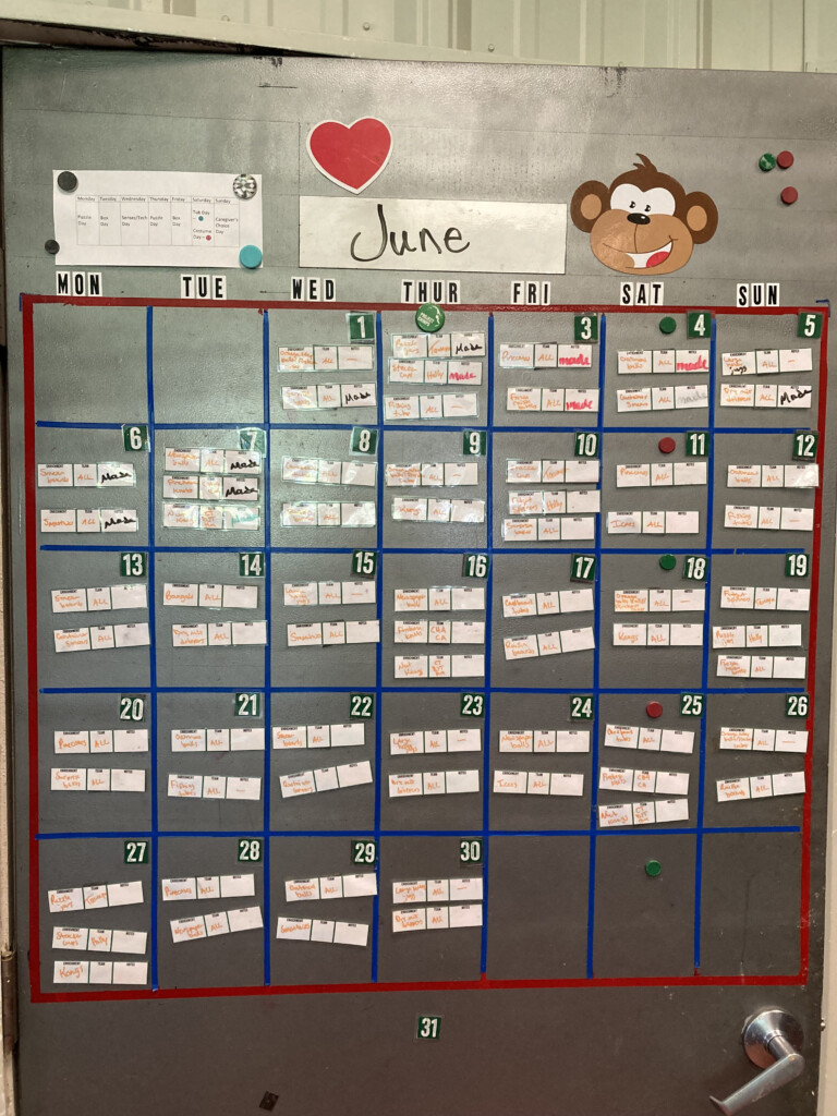 Enrichment calendar Project Chimps
