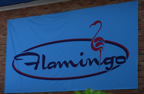 Flamingo Resort Gay Restaurant St Petersburg Florida On ClubFly The 