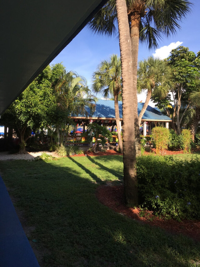 Flamingo Resort Photos GayCities St Petersburg
