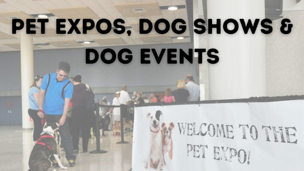 Global Pet Expo 2024 Dates Adrea Florentia