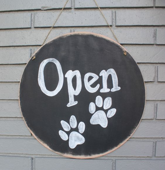 Grand Haven Pet Resort Care Respect For Your Pets