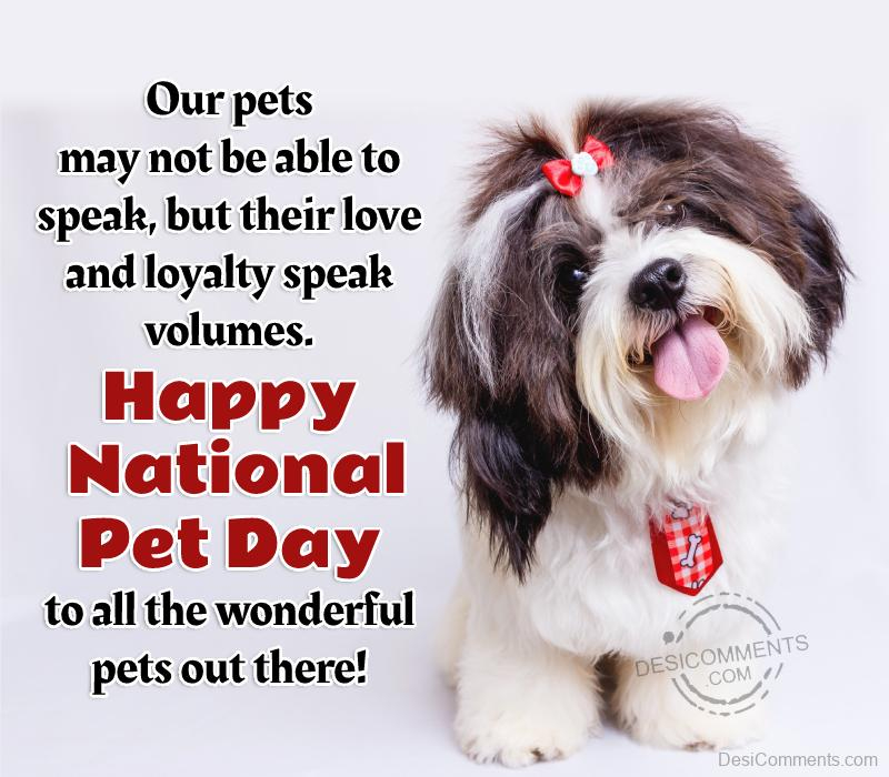 Happy National Pet Day Fb Image Desi Comments