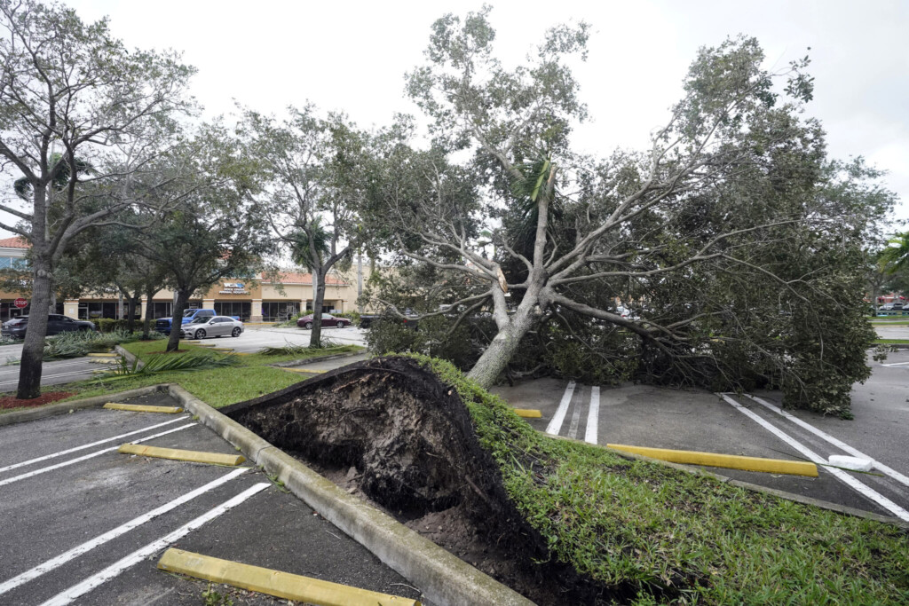 Here 39 s How To Get Your Hurricane Ian Debris Picked Up In St Pete 