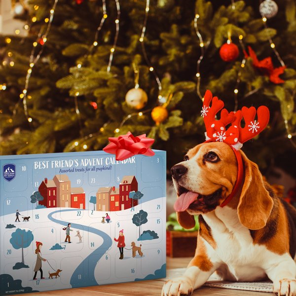 HIMALAYAN PET SUPPLY Best Friend 39 s Advent Calendar Dog Treats Chewy