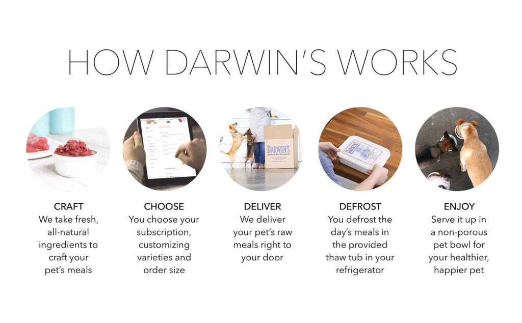 Home Delivery Program Of Darwin s Pet Food Darwin 39 s Natural Pet 