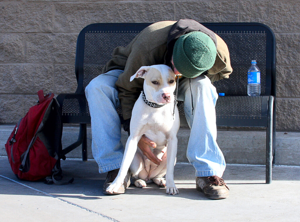 Homeless With Pets