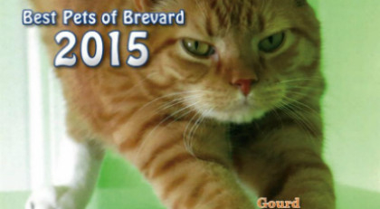 Humane Society Releases 39 Best Pets Of Brevard 39 Calendar Space Coast Daily