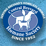 Humane Society Releases 39 Best Pets Of Brevard 39 Calendar