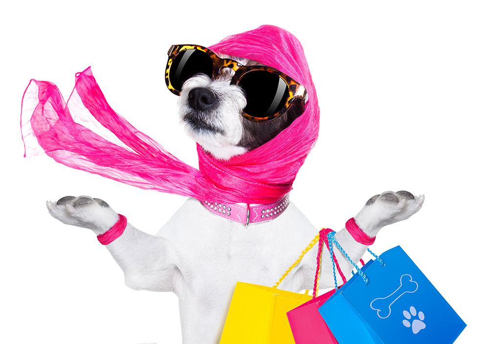 Investor Relations Carson Bear Dog Wellness Program