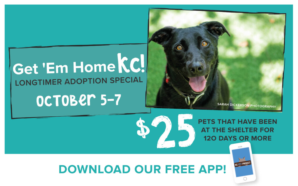 Kansas City MO Animal Shelter KC Pet Project KCPP 
