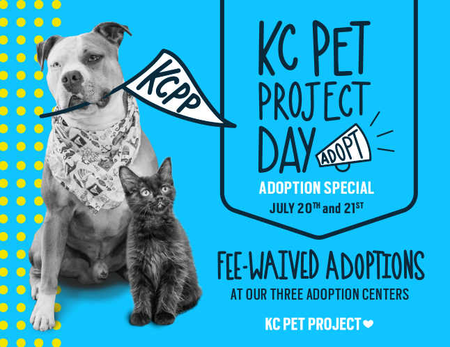 Kansas City MO Animal Shelter KC Pet Project