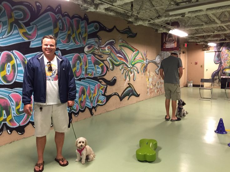 Kiki At Barkers Pet Center Dog Training Training Classes Pets