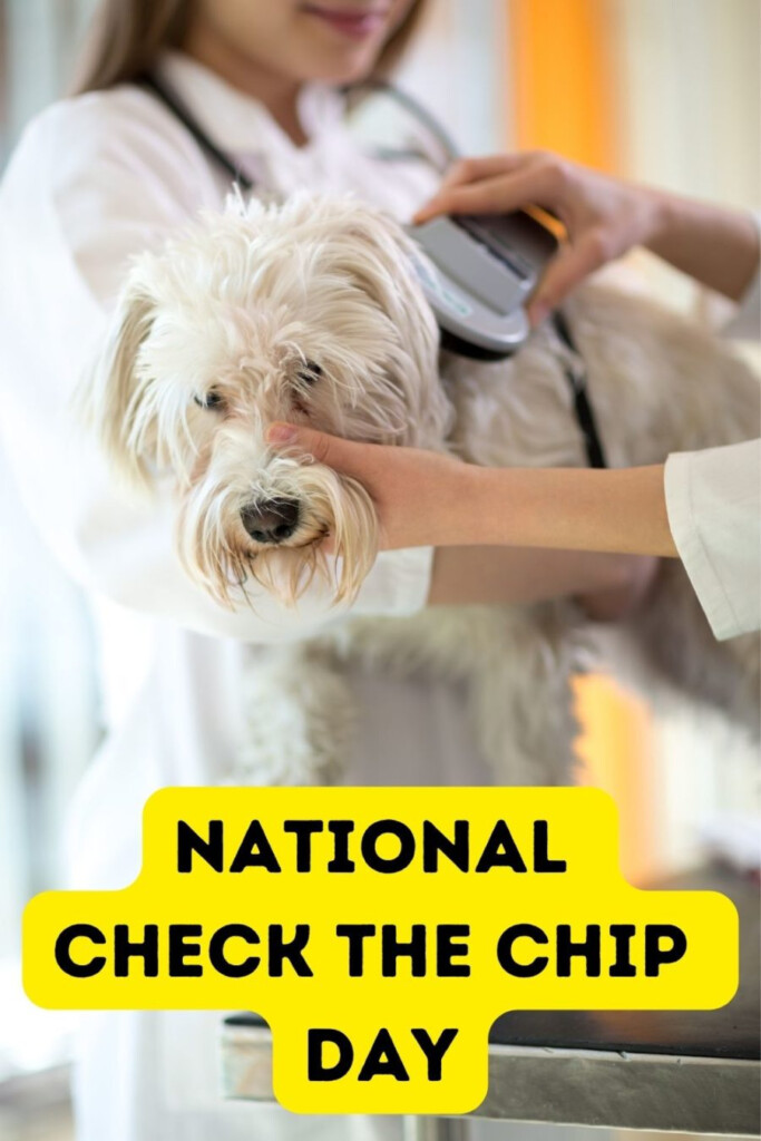 National Check The Chip Day What You Need To Do 