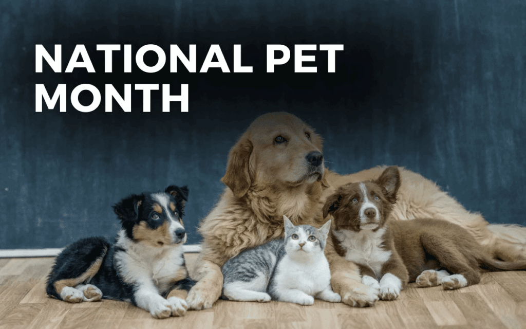 National Pet Day April 2025 Calendar Lucia Wood