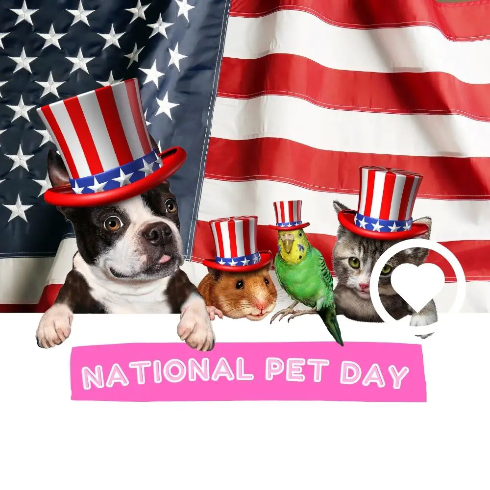 National Pet Day April 2025 Calendar Lucia Wood