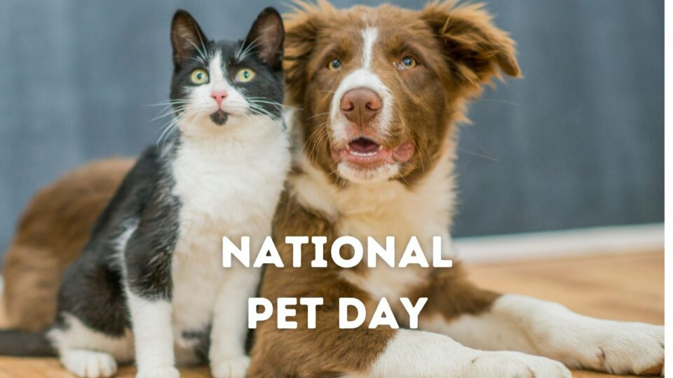 National Pet Day Calendar 2024 Kare Eleonora